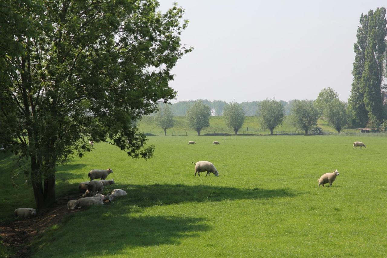 B&B Buitenwaard Oosterhout  Dış mekan fotoğraf